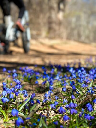 Reformatory Branch Rail Trail - Concord, MA