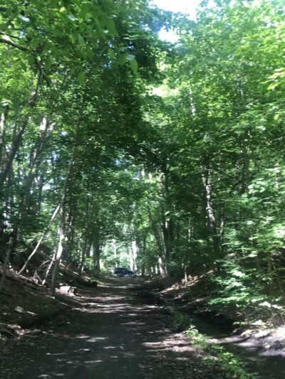 Reformatory Branch Trail - Concord, MA