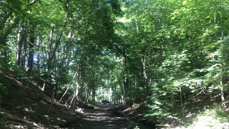 Reformatory Branch Trail - Concord, MA