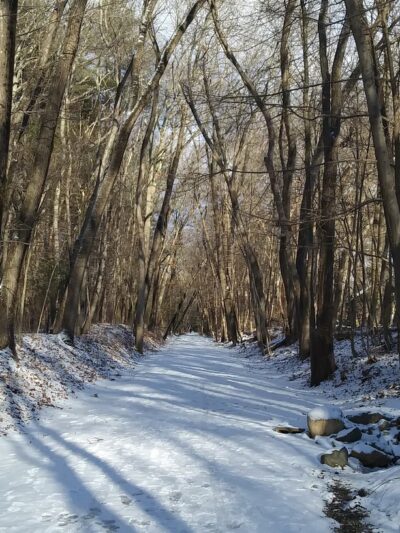 Reformatory Branch Trail - Concord, MA