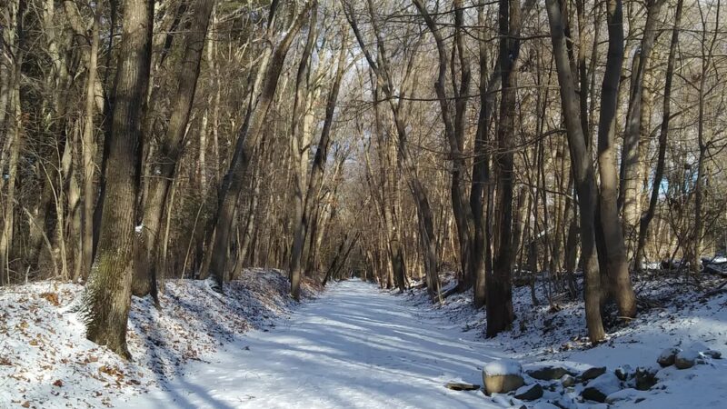 Reformatory Branch Trail - Concord, MA