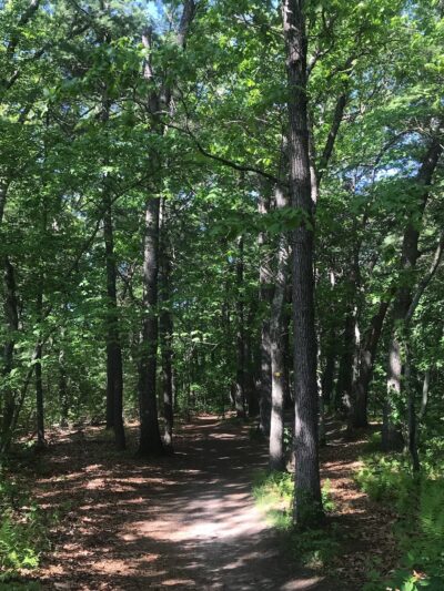 Reformatory Branch Trail - Concord, MA
