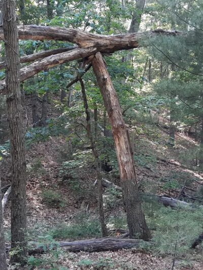 West Concord Park - Concord, MA