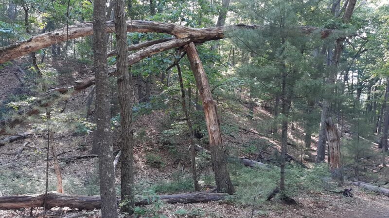 West Concord Park - Concord, MA
