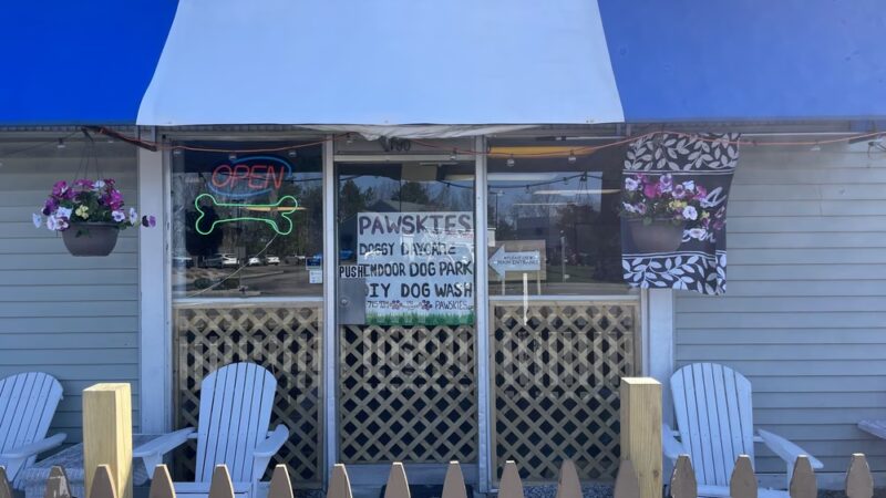 Pawskies - Concord, NH