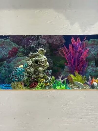 Pawskies - Concord, NH