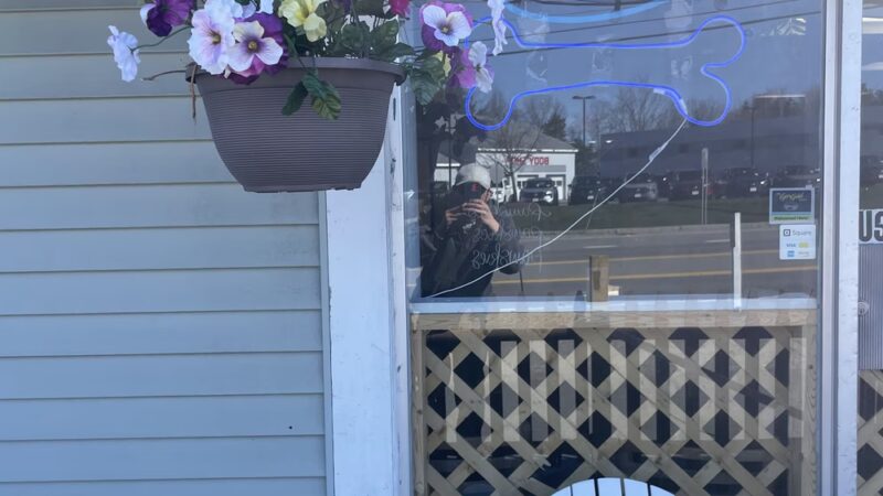 Pawskies - Concord, NH