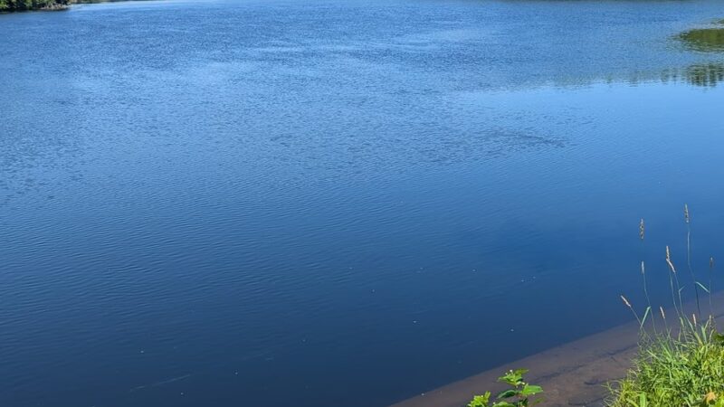 Terrill Park - Concord, NH