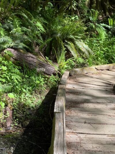 Baker Lake Trail - Concrete, WA