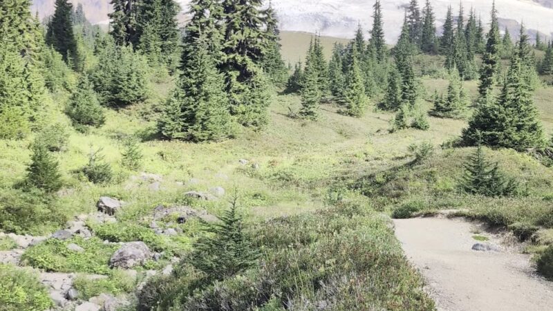 Park Butte Trail 603 - Concrete, WA