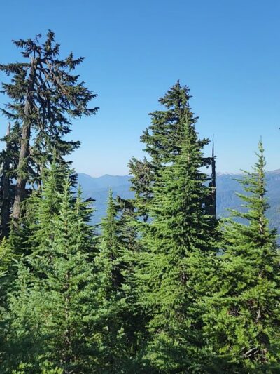 Shannon Ridge Trailhead - Concrete, WA