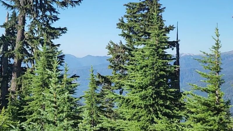 Shannon Ridge Trailhead - Concrete, WA