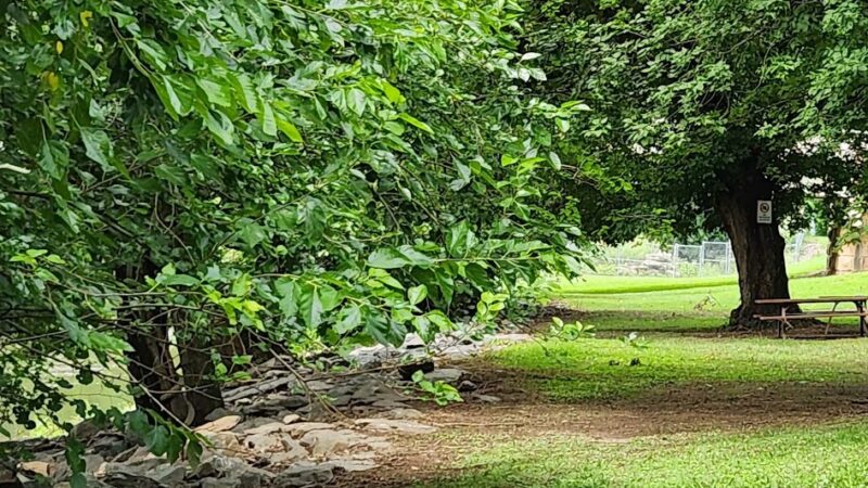 Conestoga River Park - Conestoga, PA