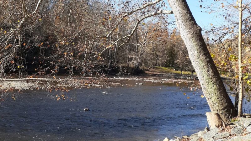 Conestoga River Park - Conestoga, PA