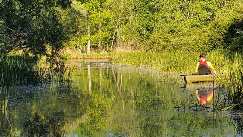 Conesus Lake Fishing Access - Conesus, NY