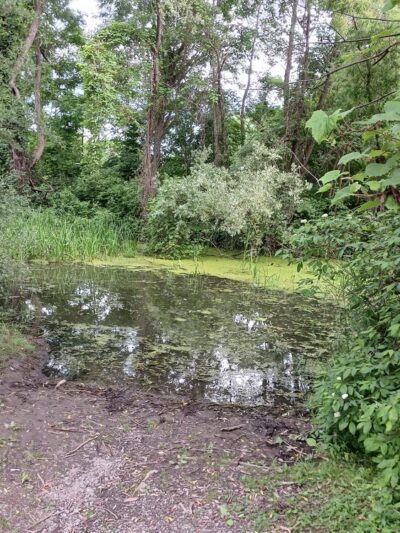 Conesus Lake Fishing Access - Conesus, NY