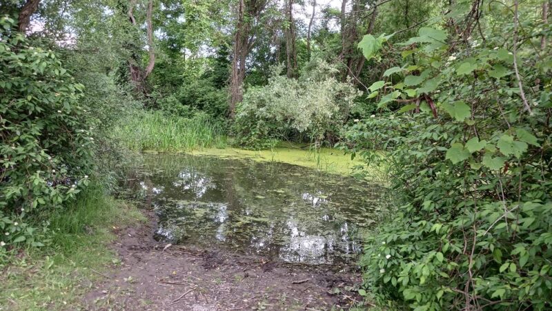 Conesus Lake Fishing Access - Conesus, NY