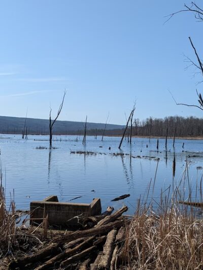 Conesus Lake Inlet - Conesus, NY