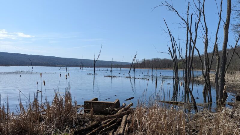 Conesus Lake Inlet - Conesus, NY