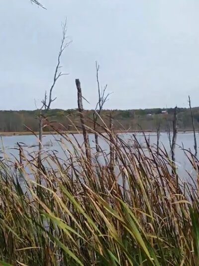 Conesus Lake Inlet - Conesus, NY