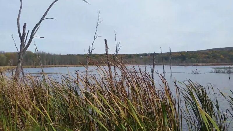 Conesus Lake Inlet - Conesus, NY