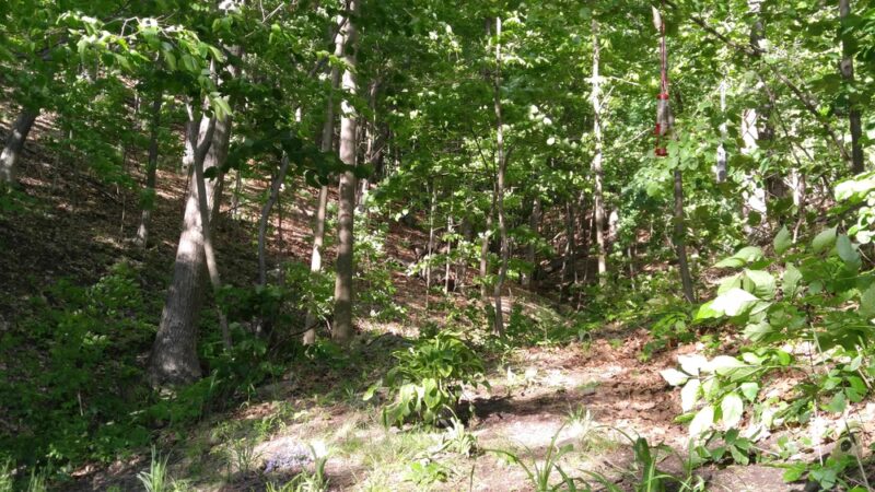 Conesus Lake RV Park - Conesus, NY
