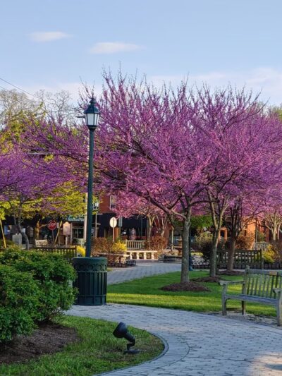 Congers station park - Congers, NY
