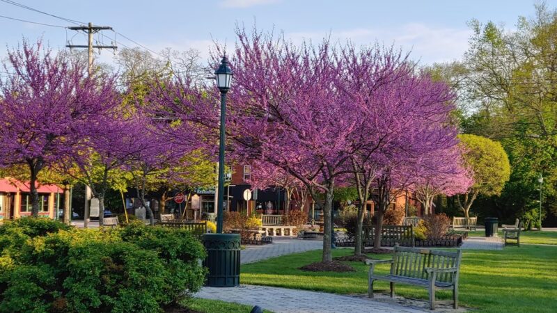 Congers station park - Congers, NY