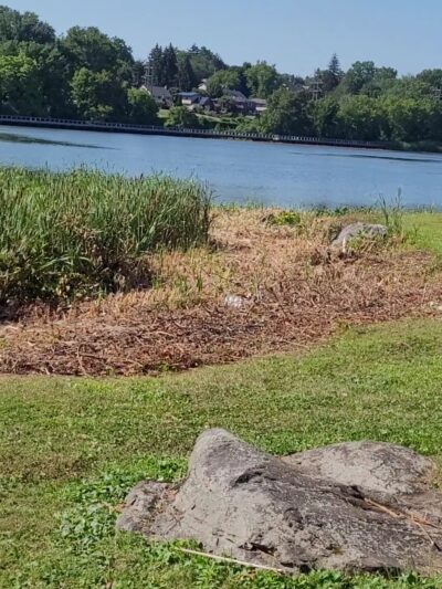 TOWN OF CLARKSTOWN PICKLE BALL COURTS AT CONGERS LAKE MEMORIAL PARK - Congers, NY