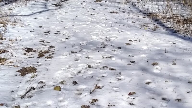 River’s Edge Park - Connersville, IN