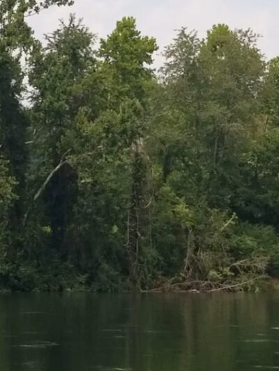 Riverbend Park - Conover, NC