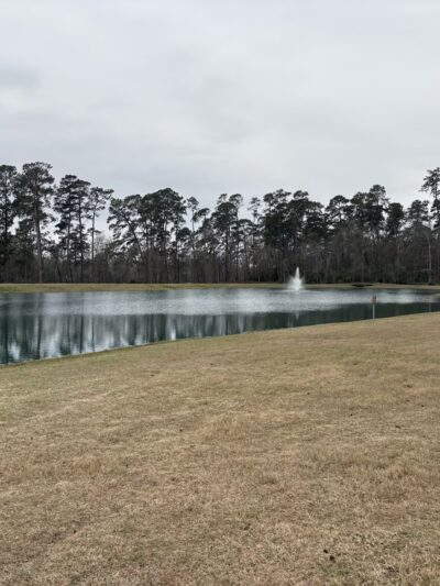 Grand Central Lake house dog park - Conroe, TX