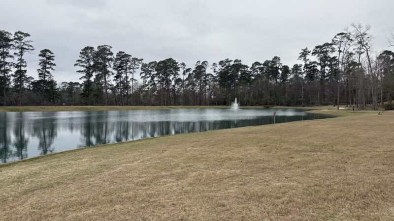 Grand Central Lake house dog park - Conroe, TX