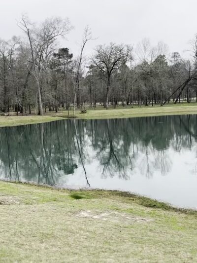 Grand Central Lake house dog park - Conroe, TX