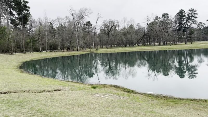 Grand Central Lake house dog park - Conroe, TX