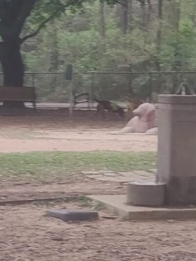 Kasmiersky Park - Conroe, TX