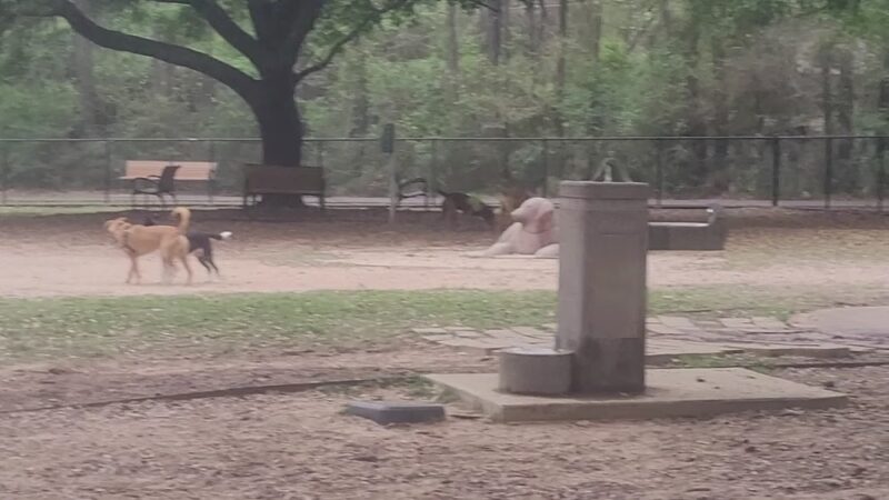Kasmiersky Park - Conroe, TX
