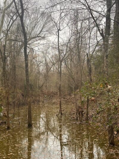 Owen Park - Conroe, TX