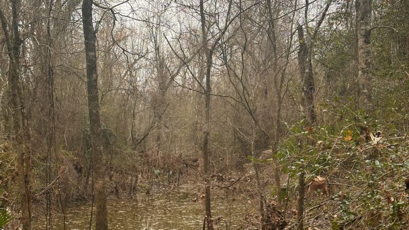 Owen Park - Conroe, TX