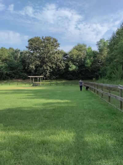 Wiggins Village Park - Conroe, TX