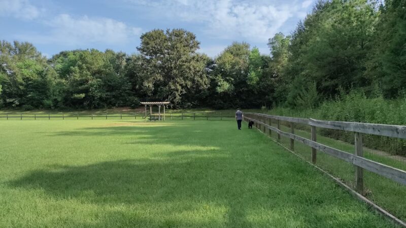 Wiggins Village Park - Conroe, TX