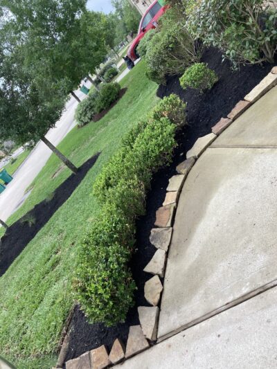 Private Residential Frisky Biscuit Dog Park - Conroe, TX