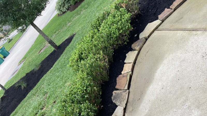 Private Residential Frisky Biscuit Dog Park - Conroe, TX
