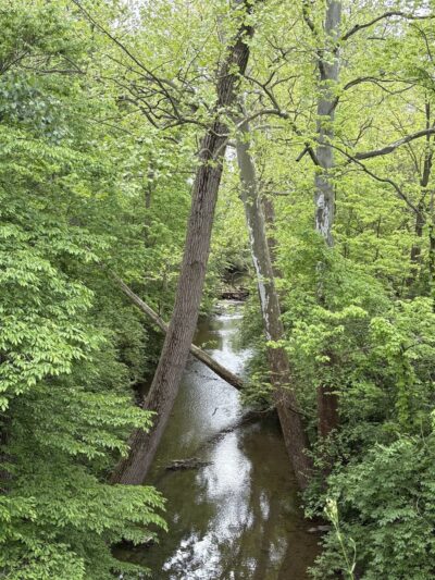 Converse Junction Trail - Converse, IN