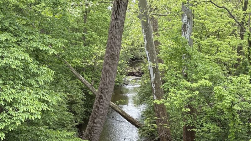 Converse Junction Trail - Converse, IN