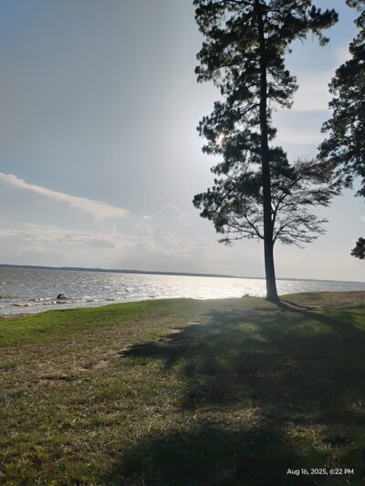 Converse Bay Park - Converse, LA