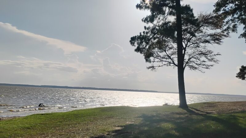 Converse Bay Park - Converse, LA