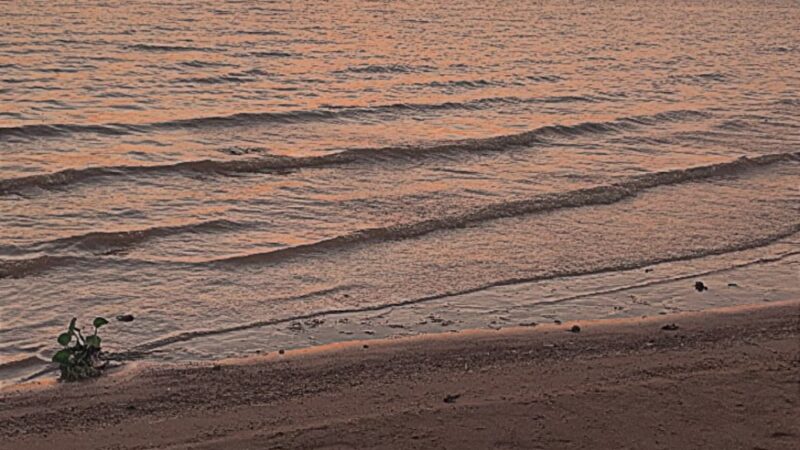 Converse Bay Park - Converse, LA