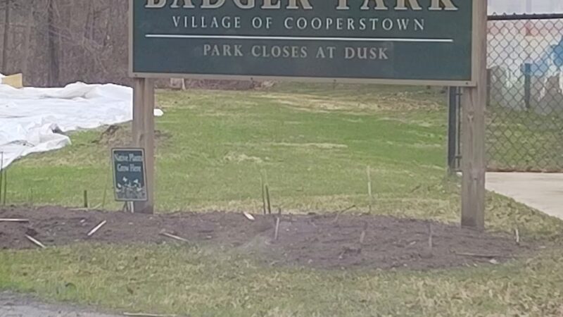 Badger Park - Cooperstown, NY