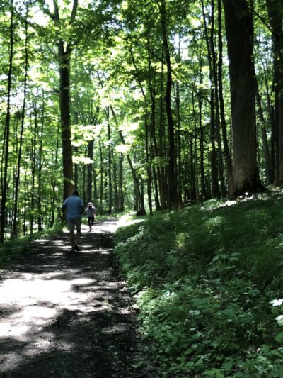 Sleeping Lion Hiking Trail - Cooperstown, NY
